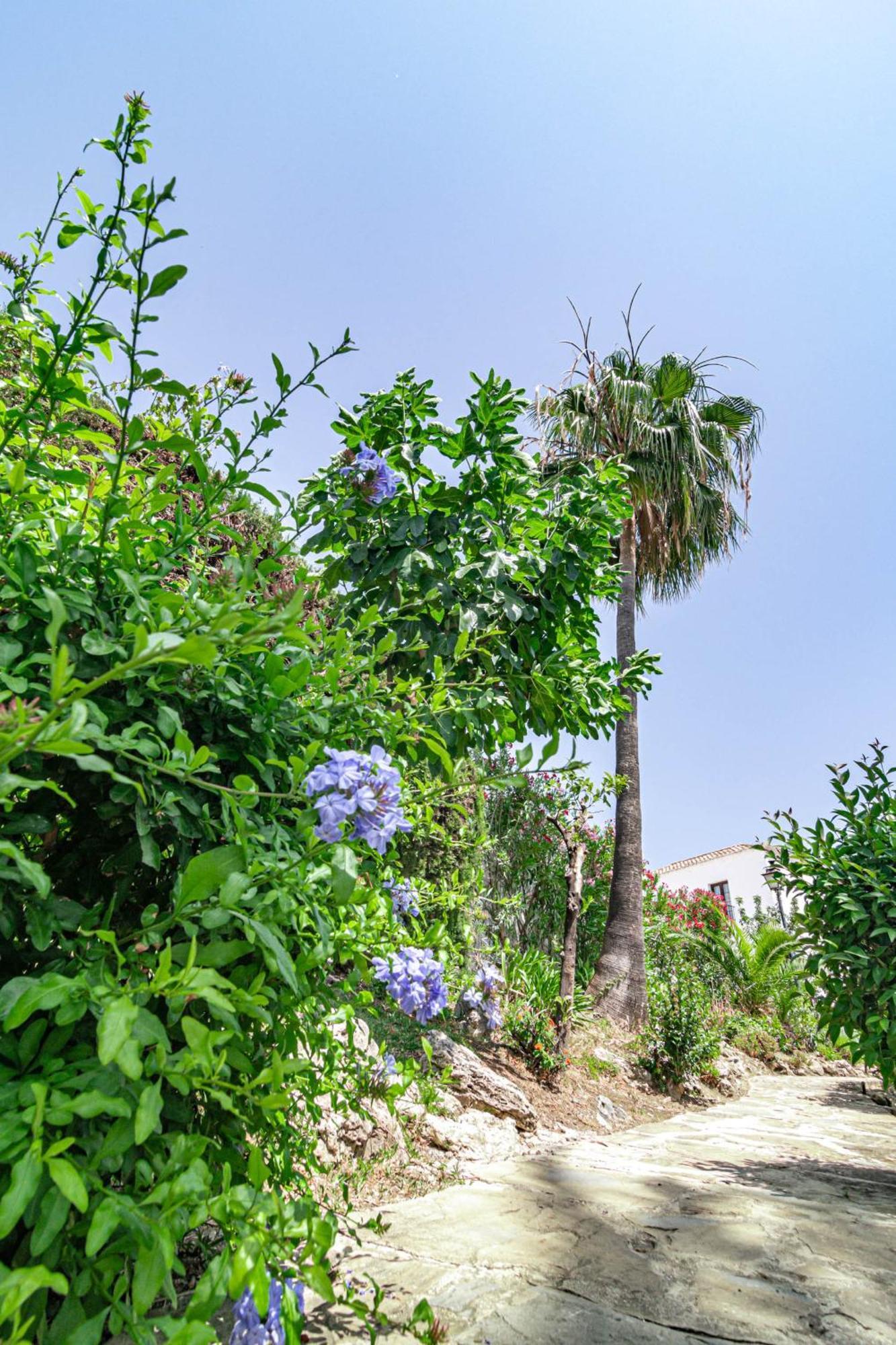 Scandinavian Style Townhouse In Nueva Andalucia * Marbella